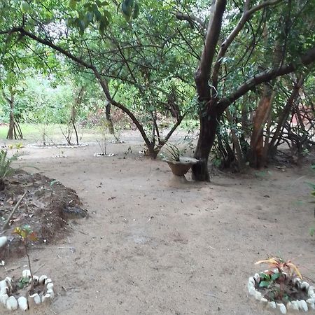 Little Baobab Bed & Breakfast Abémé Dış mekan fotoğraf