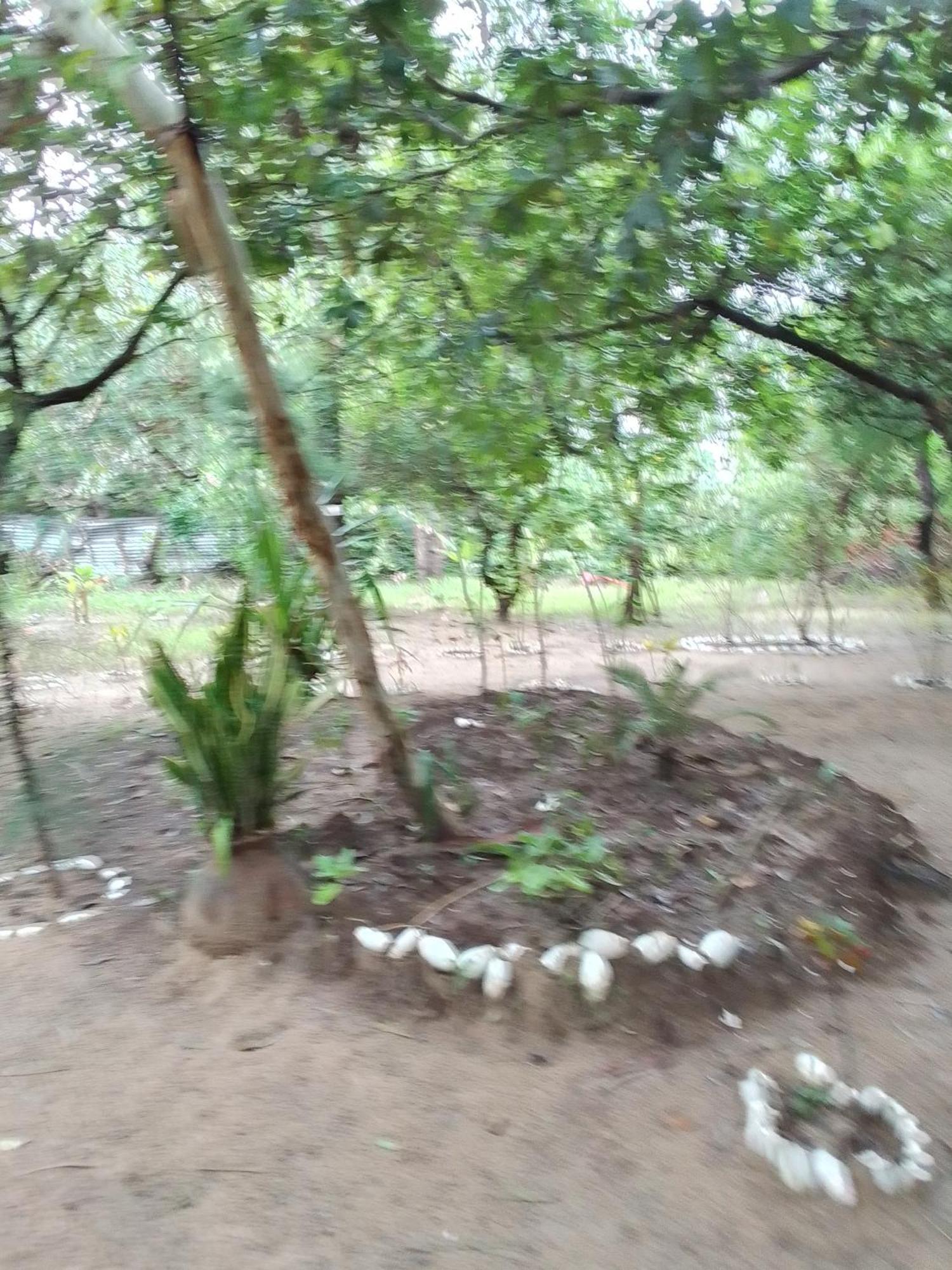 Little Baobab Bed & Breakfast Abémé Dış mekan fotoğraf